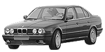 BMW E34 P0031 Fault Code